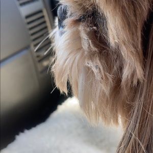 Meet your Posher, Jim